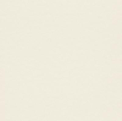 Фото Rasch Cosy White 2015 269269