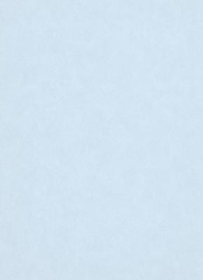 Фото Erismann Nordic Summer 1779-08