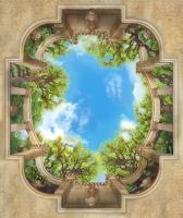 Деревья и небо