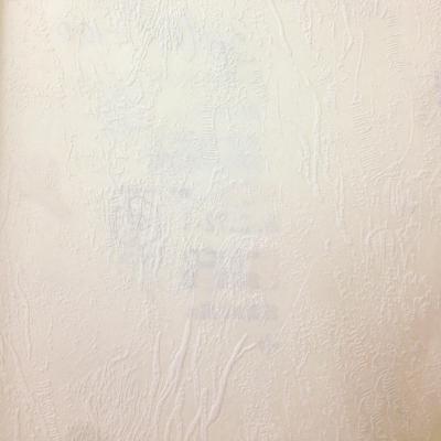 Фото Erismann RollOver 3072-1