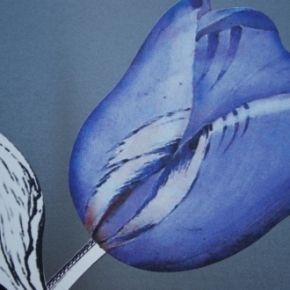 Фото Marburg Ulf Moritz Charisma 78778