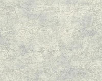 A.S.Creation Dekora Natur 6 95896-1