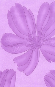 Фото Marburg Private 97084