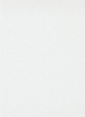 Фото Erismann RollOver 3328-1 (плотность 120 гр.)