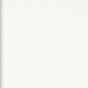 Фото BN International Bont 46893