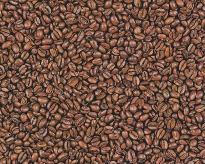 Фото A.S.Creation Decora Natur 4 664617