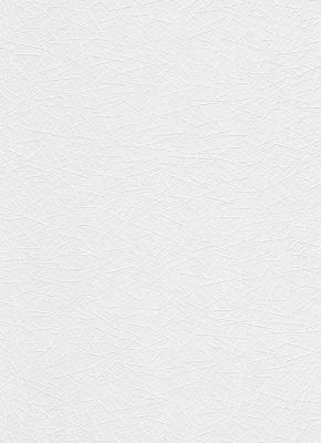 Фото Erismann RollOver 5368-01 (5368-10)