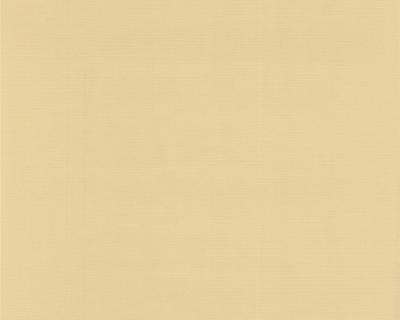 Фото A.S.Creation Colour Courage 698971