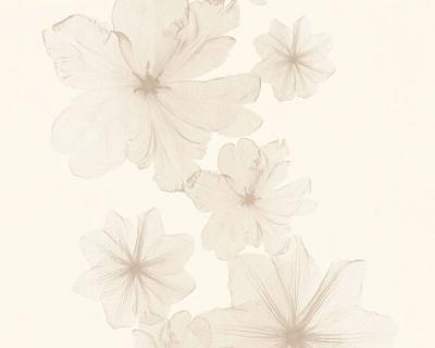 Фото A.S.Creation X-Ray 34272-1