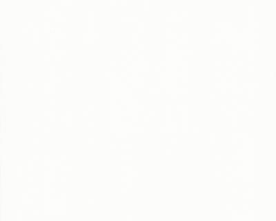 Фото A.S.Creation Long Island 869869