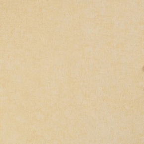 Фото BN International 50 shades of colour 48467