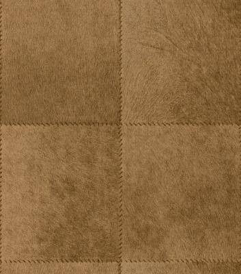 Rasch African Queen 2014 422481