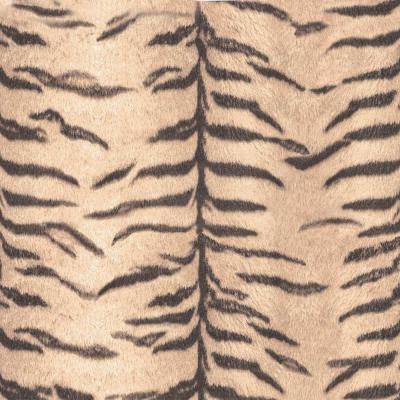 Фото Erismann Sambesi 5900-11