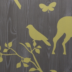 Фото BN International Neo 43870