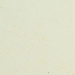 Фото BN International Authentique 45730