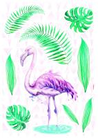 Komar 17057h (Flamingo)