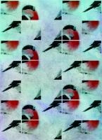 Зимняя птица