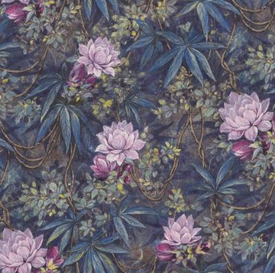 Фото Rasch Axiom 905090