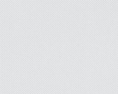 Фото A.S.Creation Maistervlies 2020 93527-1