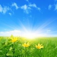 Солнечные лучи