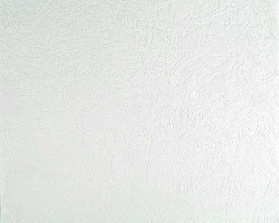 Фото A.S.Creation Meistervlies Pro 2 168818