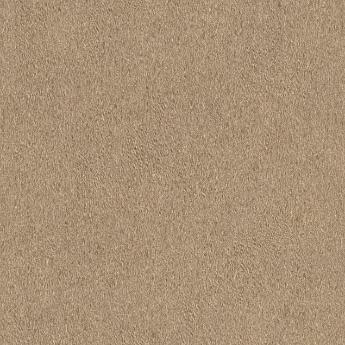 Фото Rasch African Queen 2 422696