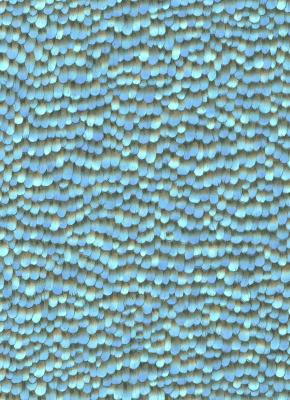 Фото Erismann Paradisio 2 10129-08