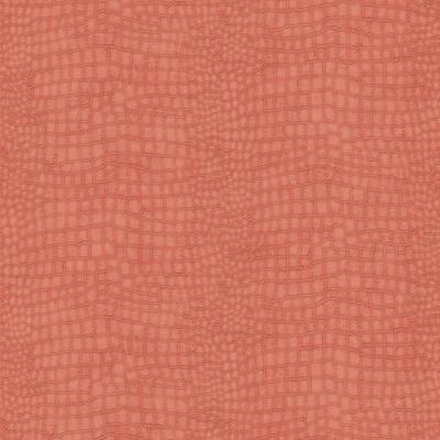 Фото Graham & Brown Paradise 32-772