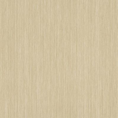 Rasch Perfecto 2014 497816