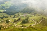 Туман над лесом