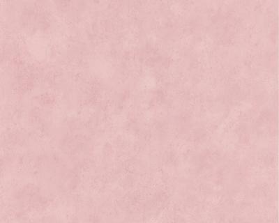 Фото A.S.Creation Styleguide Jung 758439