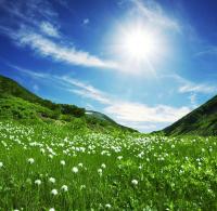 Солнце над лугами