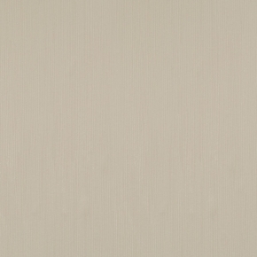 Фото BN International Flash Flex Funky 45673