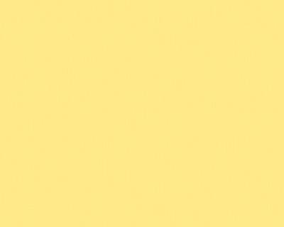 A.S.Creation Esprit 6 219831