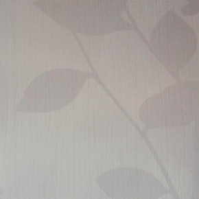 Фото BN International Silhouets 43250