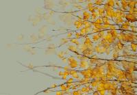 Деревья осенью