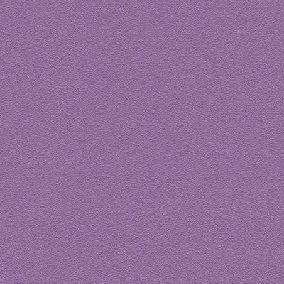 Фото Rasch Prego 2 2019 740301