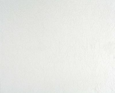 Фото A.S.Creation Meistervlies Pro 2 167613