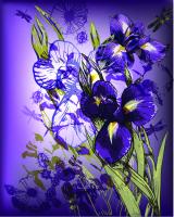 Ирисы