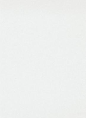 Фото Erismann RollOver 3330-1 (плотность 150 гр.)