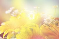 Прозрачность