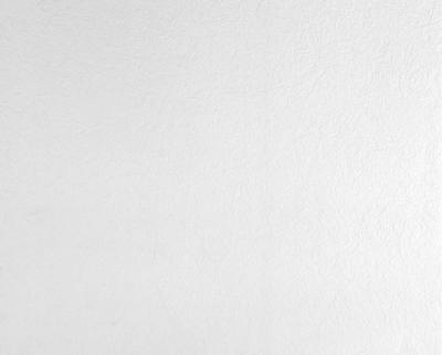 Фото A.S.Creation Meistervlies Pro 2 521811