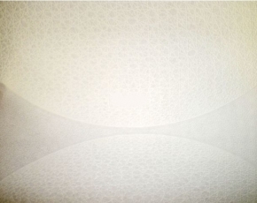 Фото Marburg Patent Decor 1862