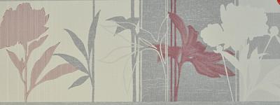 Фото Rasch Intuicion 2011 733716