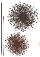 Komar 17004h (Pusteblume)