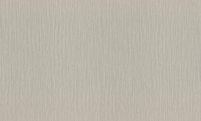 Фото Rasch Metal Spirit 977257