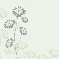 Полевой цветок