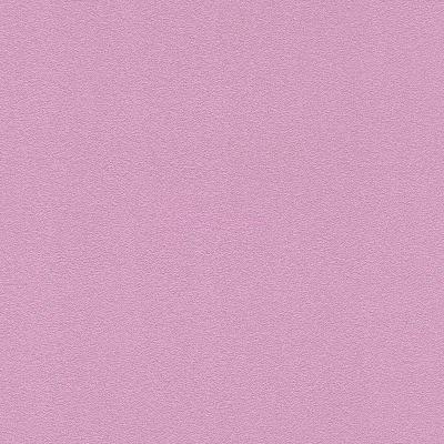 Фото Rasch Prego 2 2019 740189