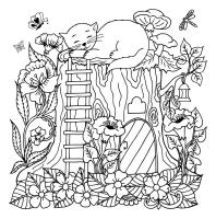 Сонный котенок