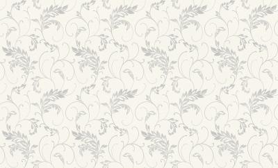 Фото Rasch Maximum XI 927320